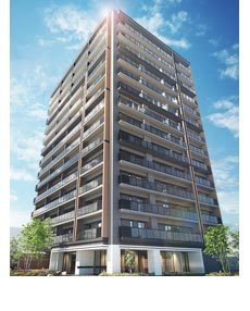 �u�����V�G���D�y������